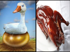 From golden goose to roast goose