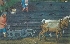 Development of the heavy plough was inevitable with few and expensive labour